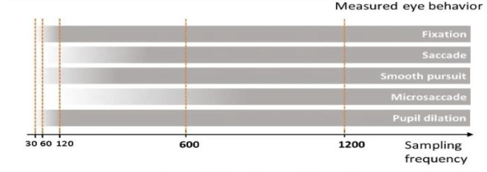 心理健康评估应用